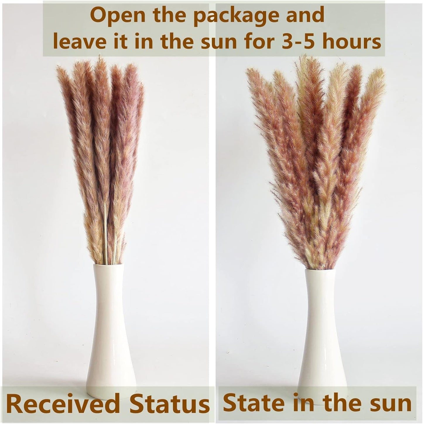 Boho Pampas Grass Decor