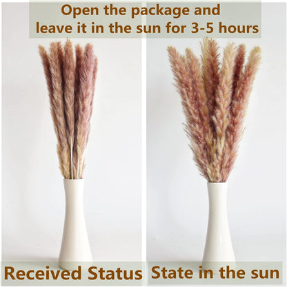 Boho Pampas Grass Decor