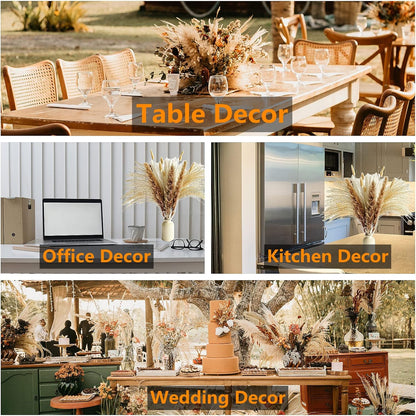 Boho Pampas Grass Decor